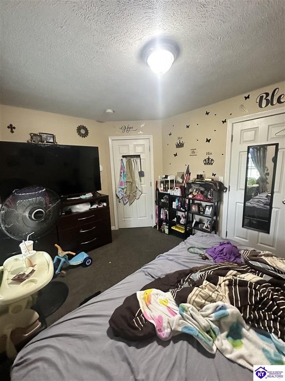 Picture 24