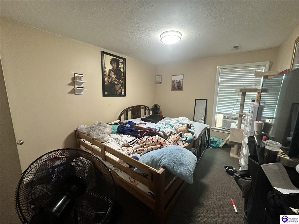 Picture 42