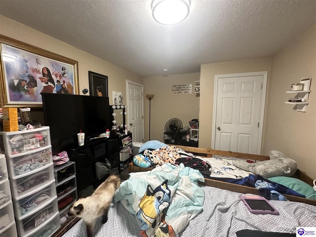 Picture 46