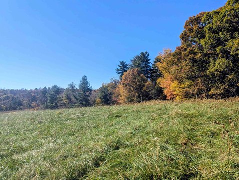 Land, Indian Valley, VA