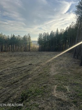Secluded Land with Creek Access