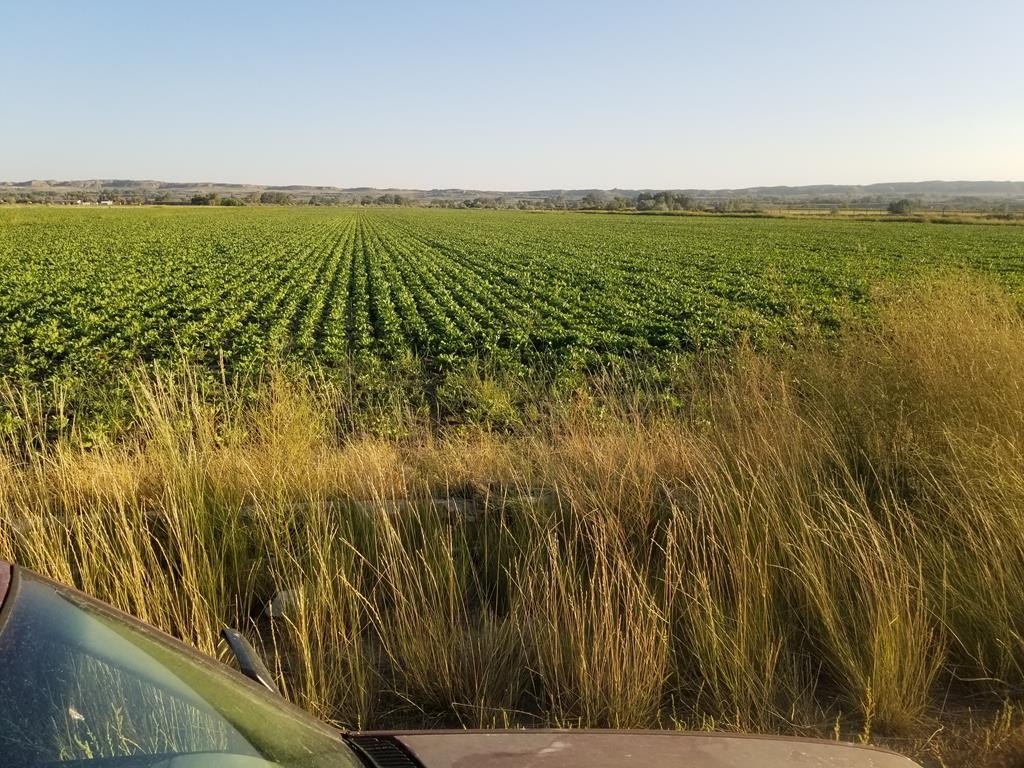 Productive Farmland East of Deaver