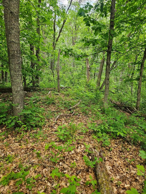 Picture 14