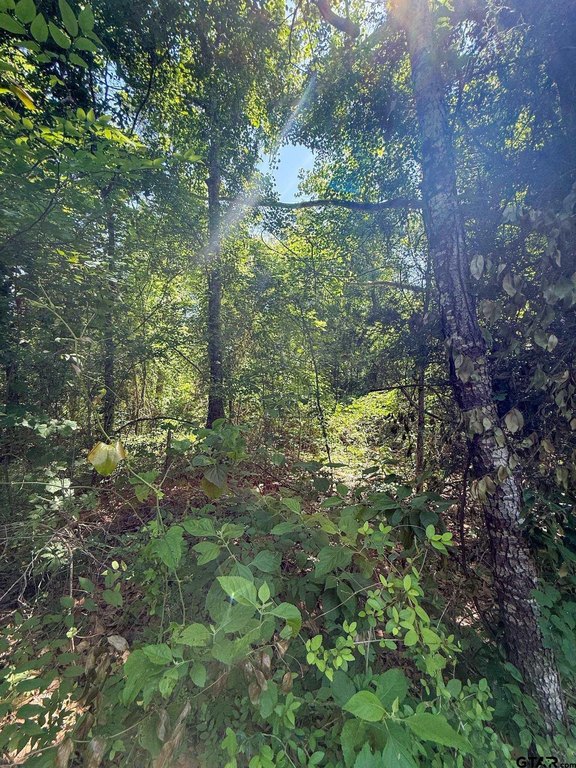 Picture 5