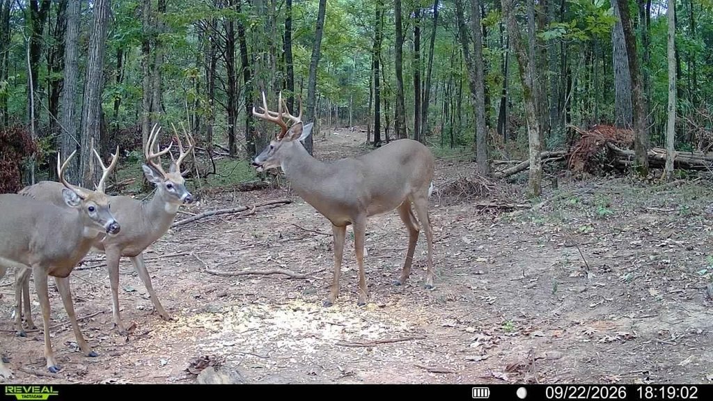 Picture 9