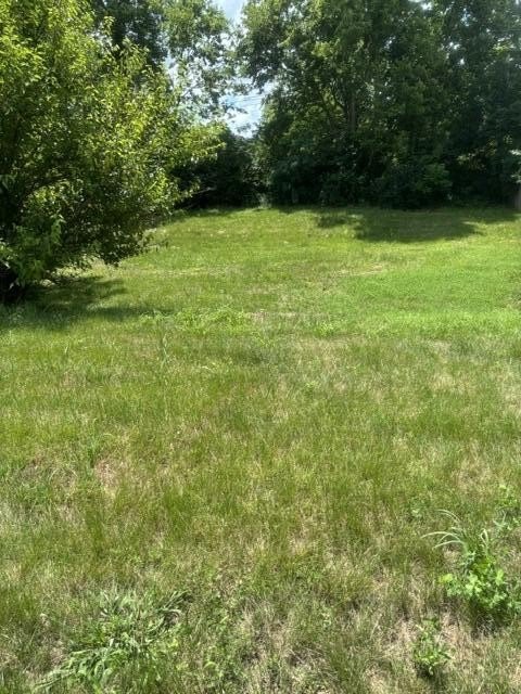 Picture 2