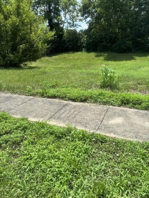 Picture 5
