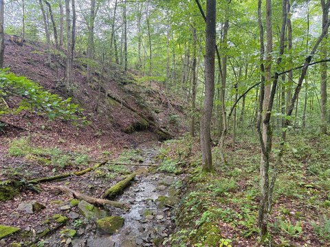 Land, Sugar Grove, PA