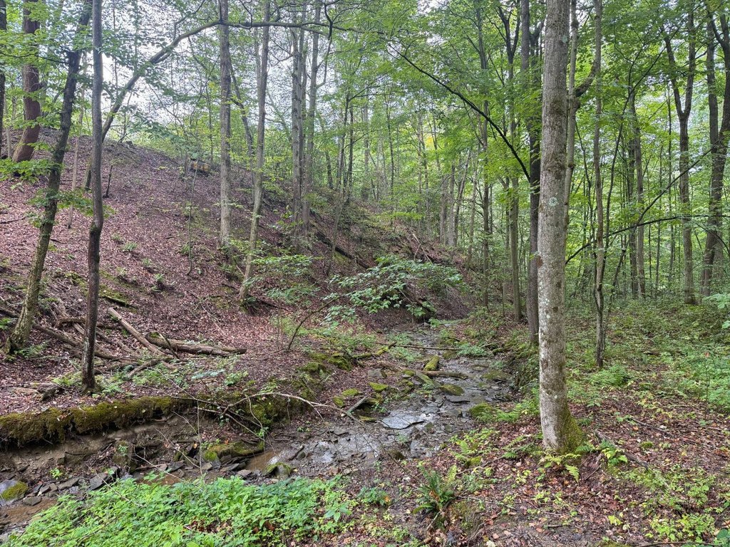 Picture 24