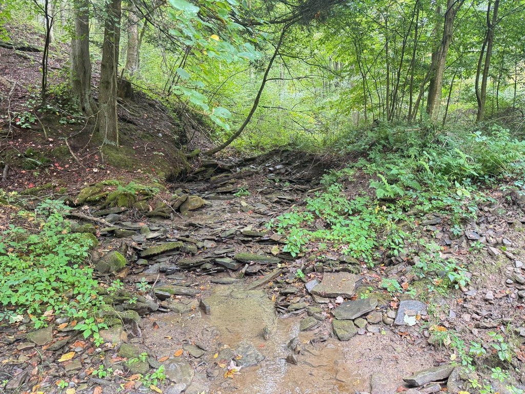 Picture 6