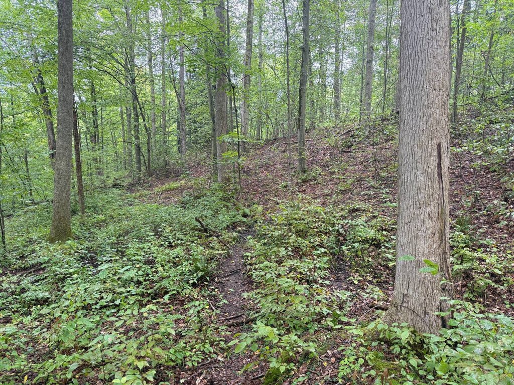 Picture 25