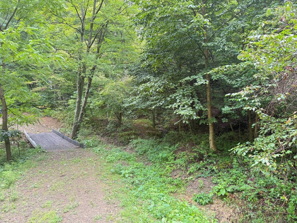 Picture 7