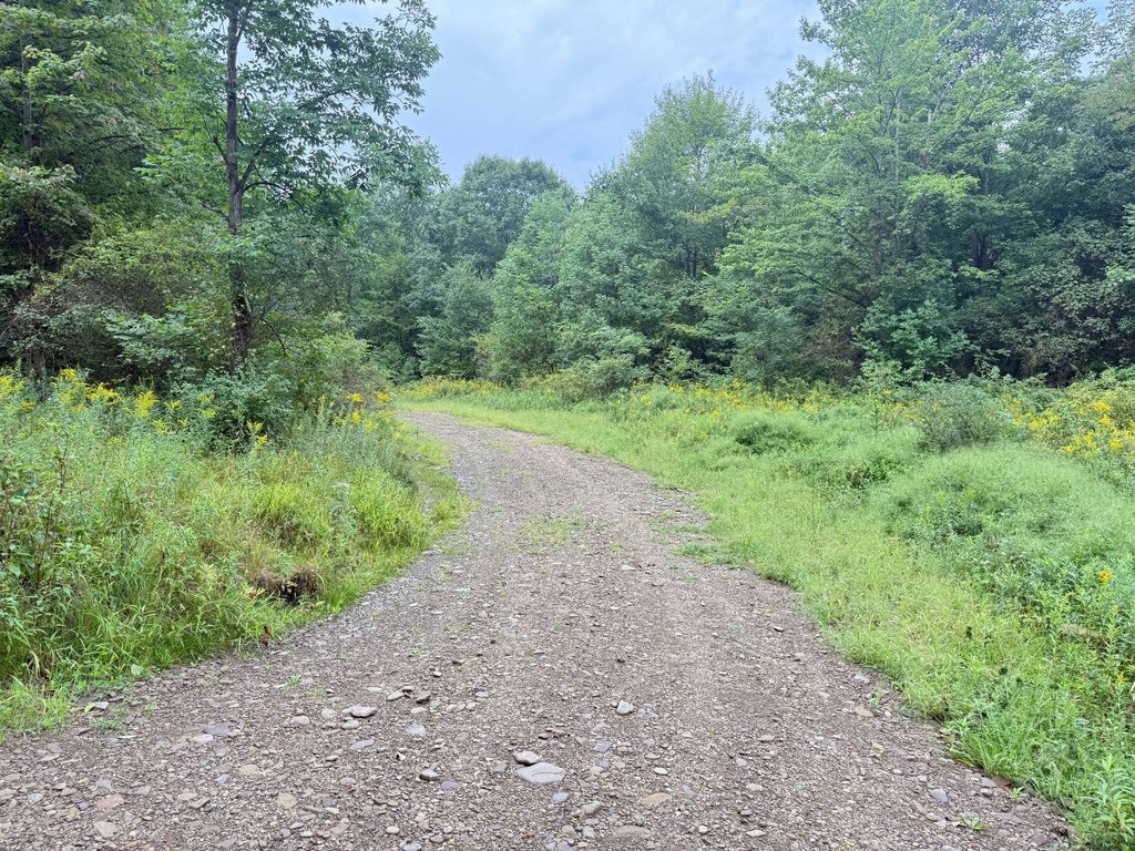 Picture 28