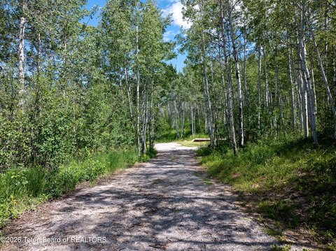 LAND - Thayne, WY