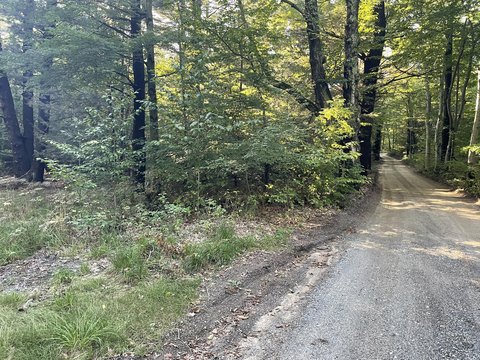 Wooded Lot Near Lake Michigan