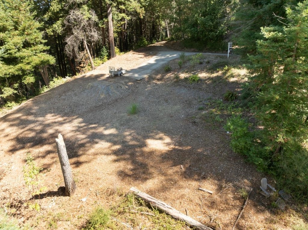 Picture 25