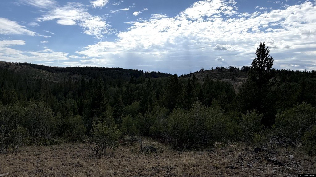 Picture 28