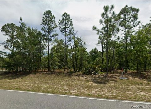 Land, Citrus Springs, FL