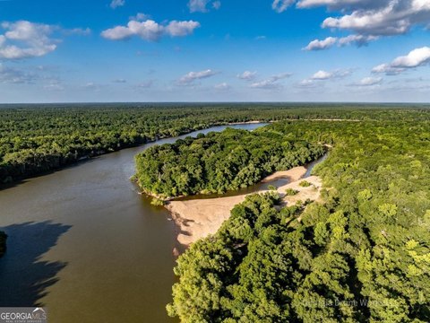 Buildable Island Retreat on Altamaha River