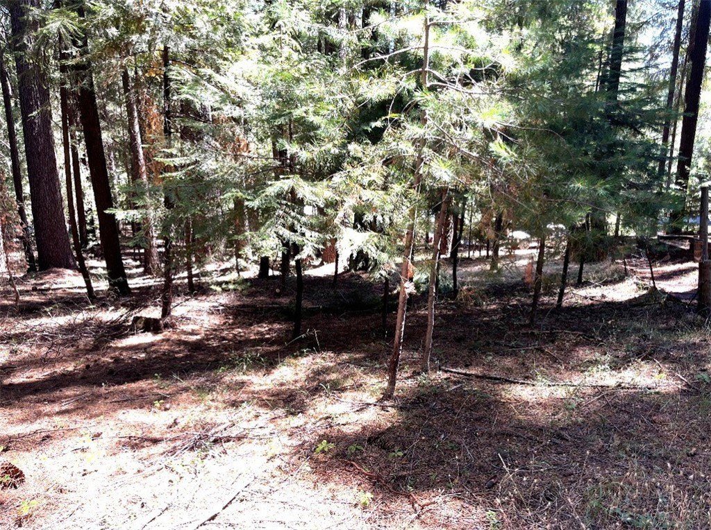 Picture 4