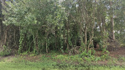 Land & Docks, Port St. Lucie, FL