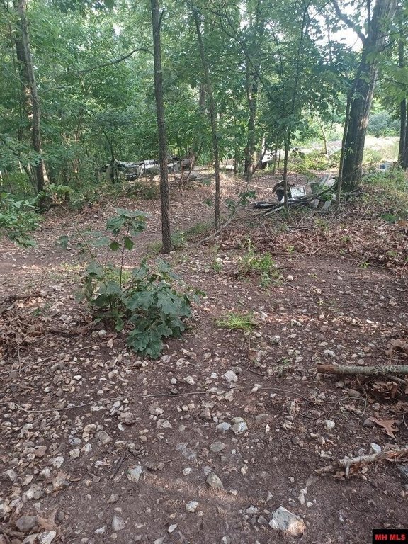 Picture 16
