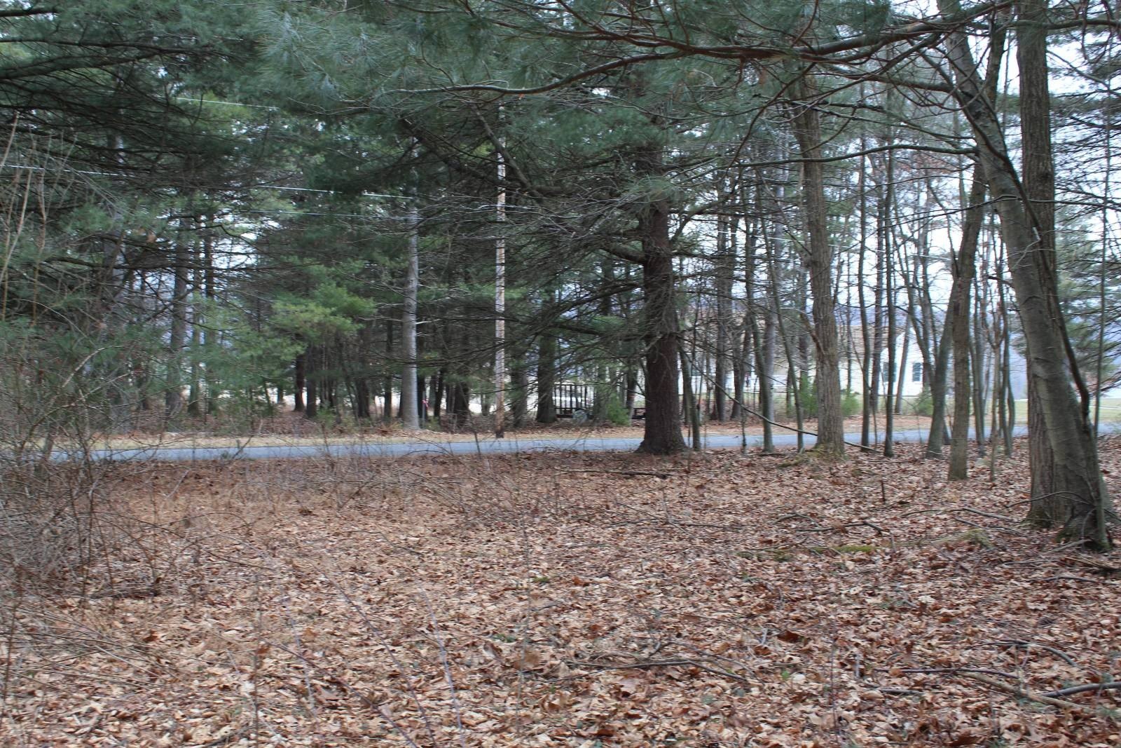 Scenic Vacant Land in Huntingdon