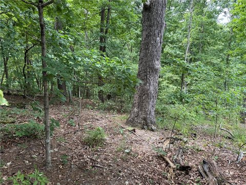 LAND - Bella Vista, AR