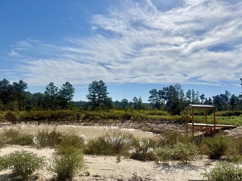 Residential Land in Pollok, TX