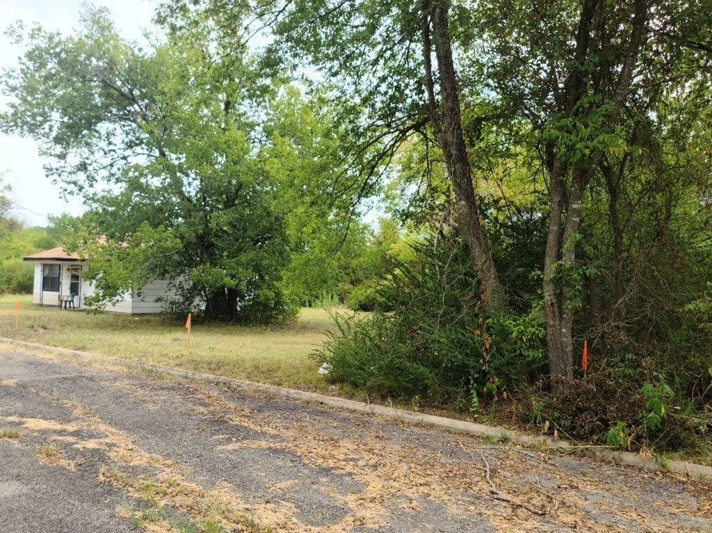 Picture 2