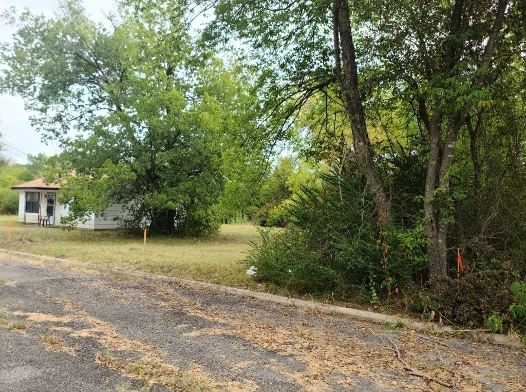 Picture 3