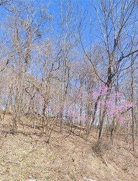 Unrestricted Land in Holiday Island