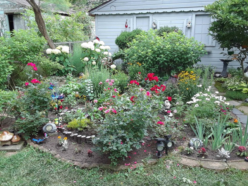 Picture 34