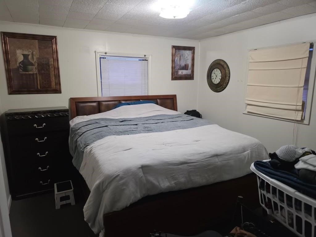 Picture 26