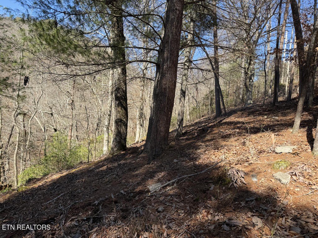 Picture 19