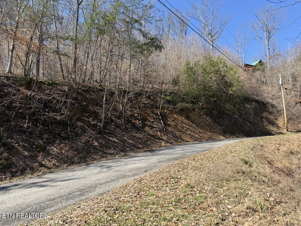 Picture 23