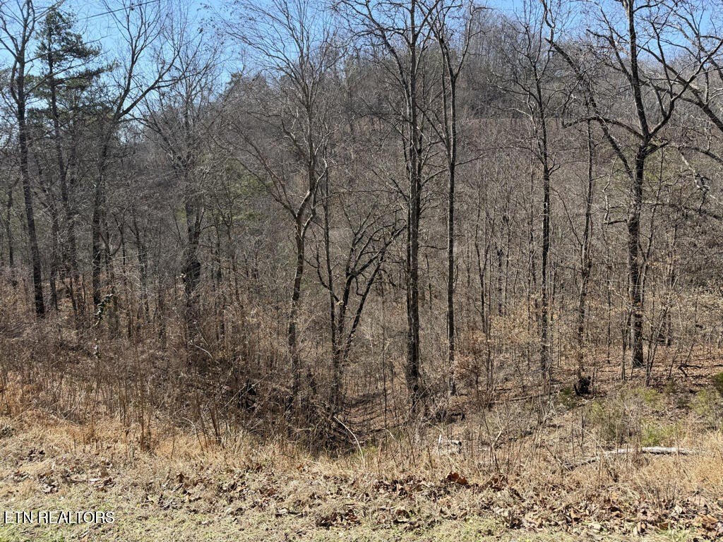 Picture 21
