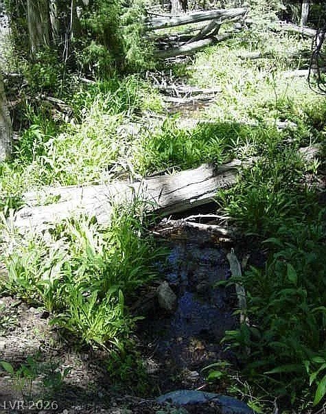 Picture 10