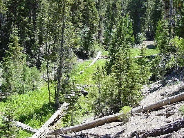 Picture 6