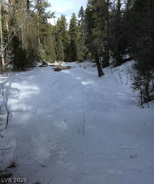 Picture 14