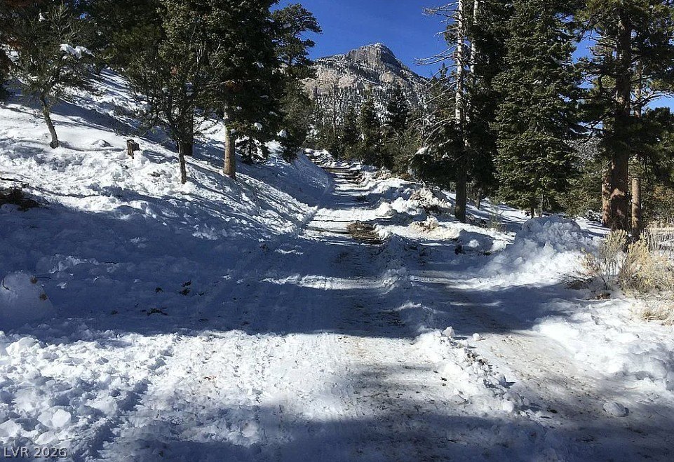 Picture 15