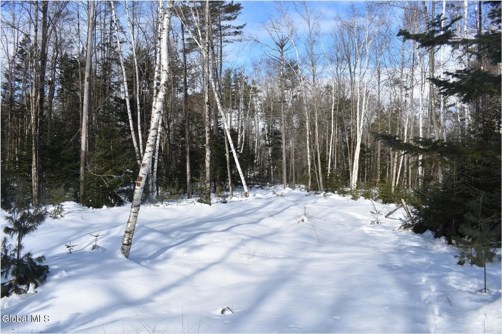 Picture 23