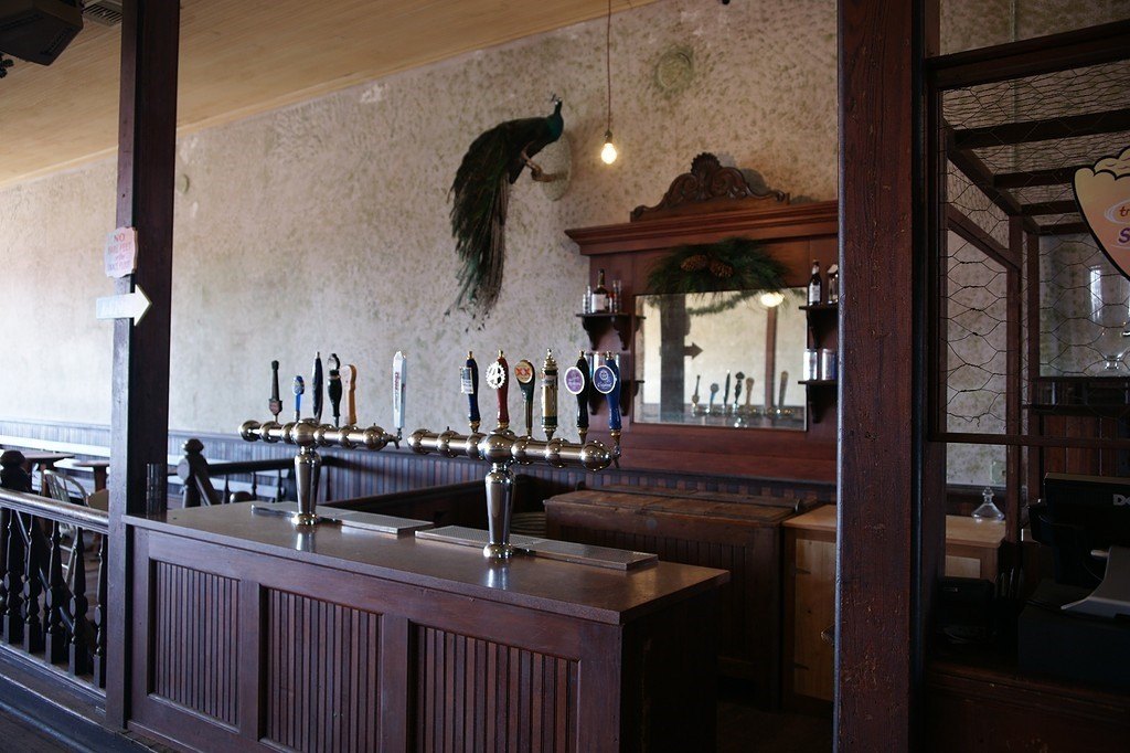Picture 8