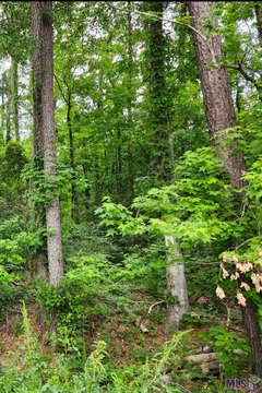 Land, Denham Springs, LA