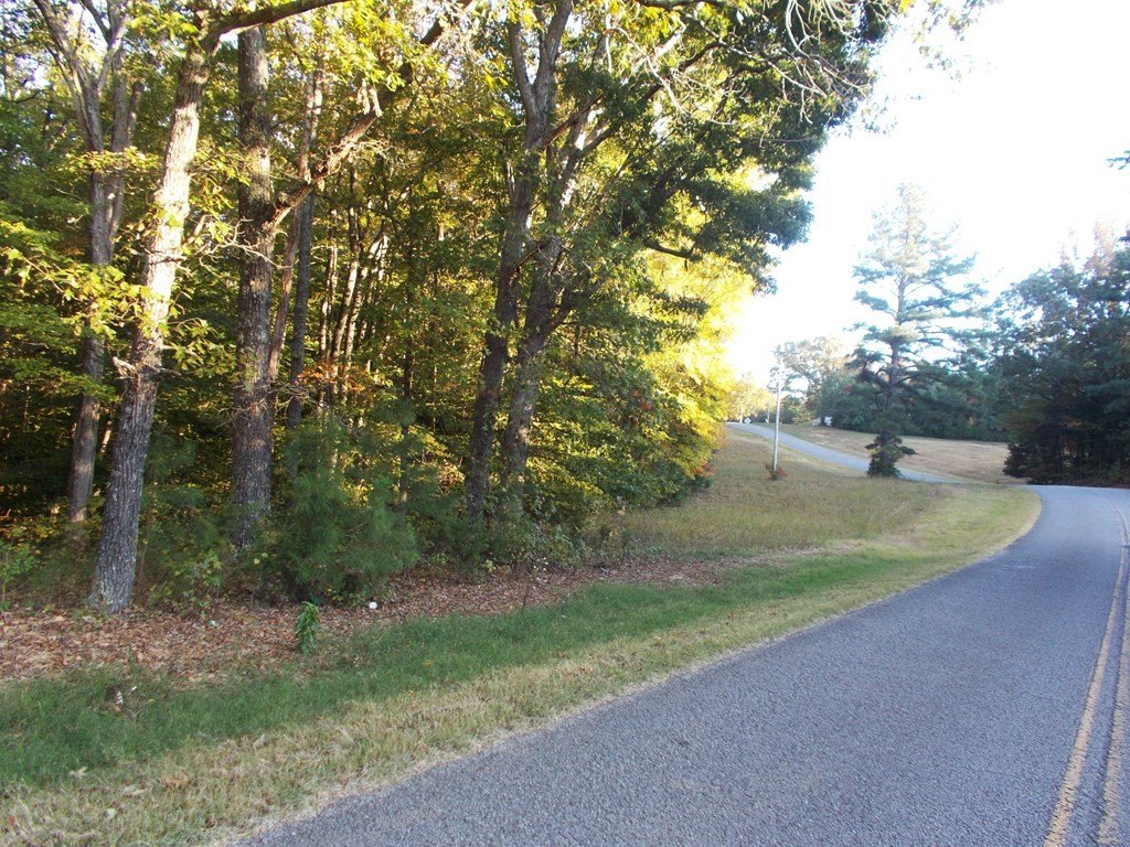 Picture 26