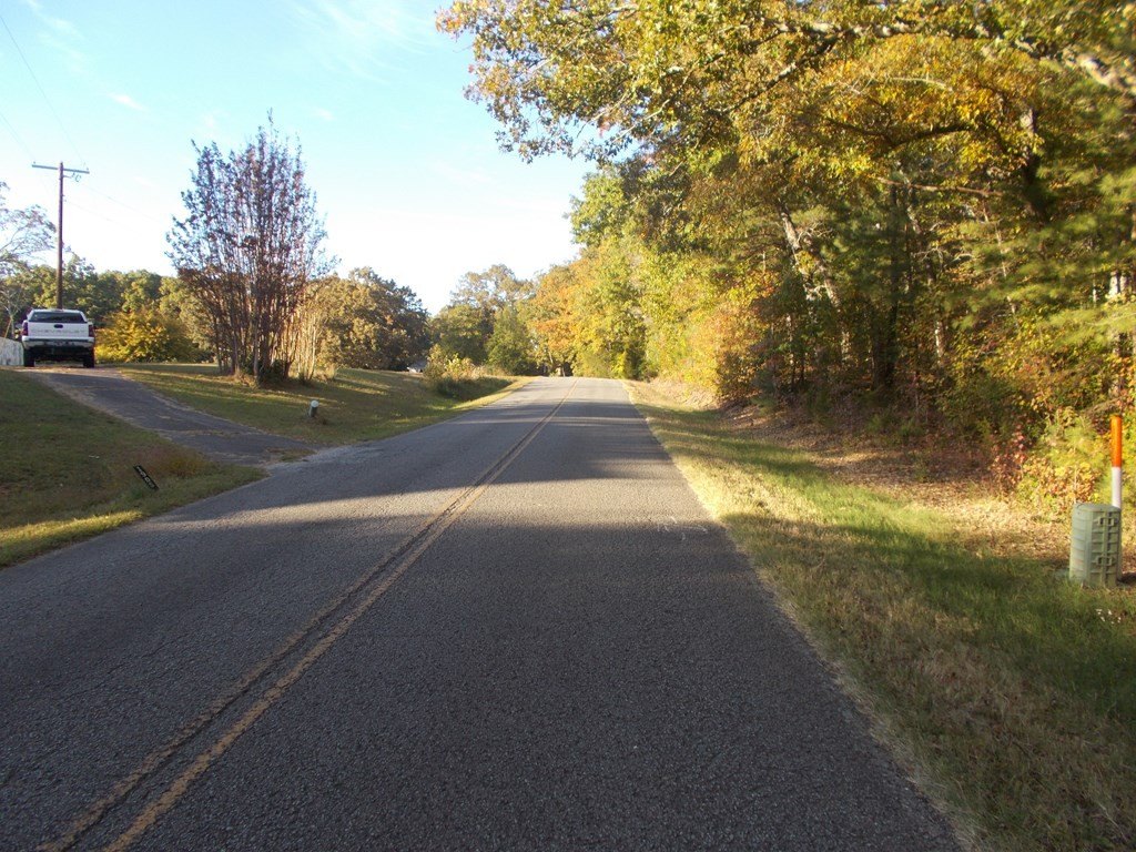 Picture 31
