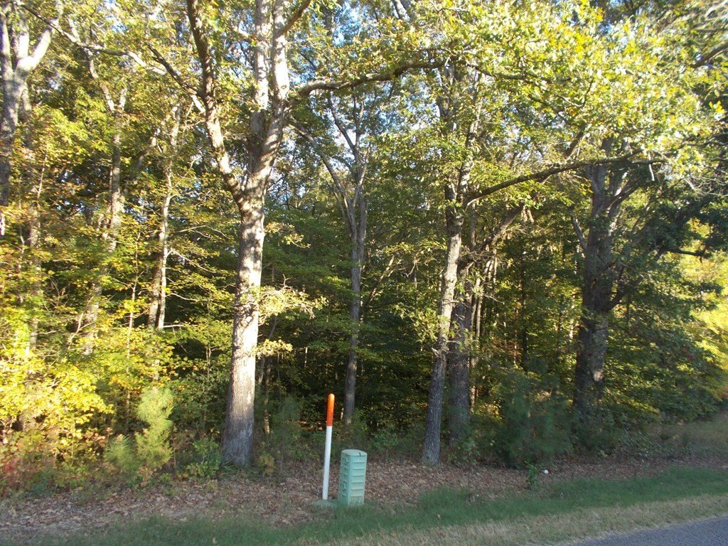 Picture 23