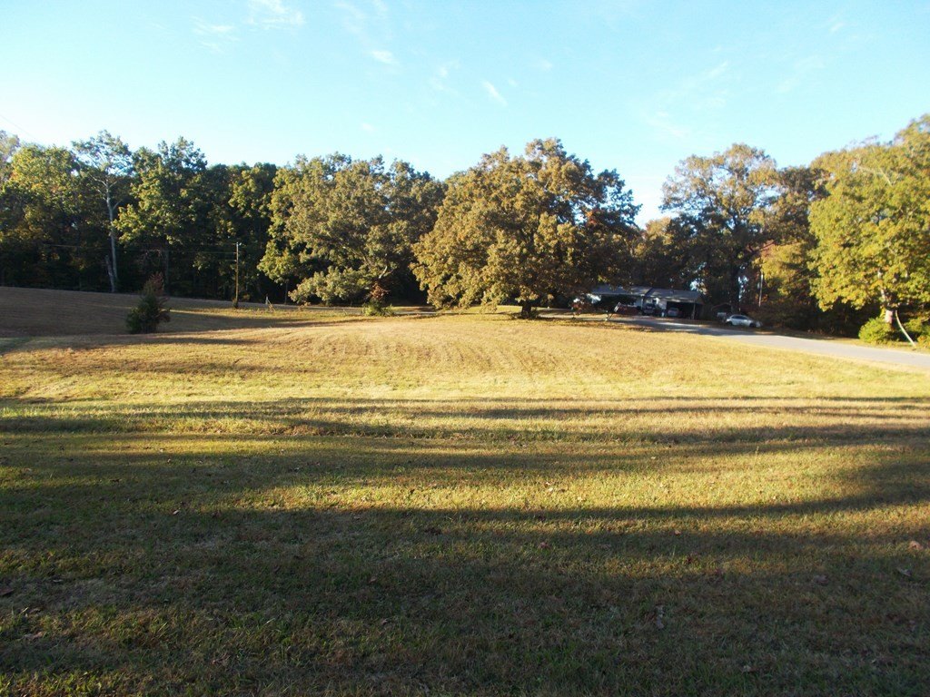 Picture 7