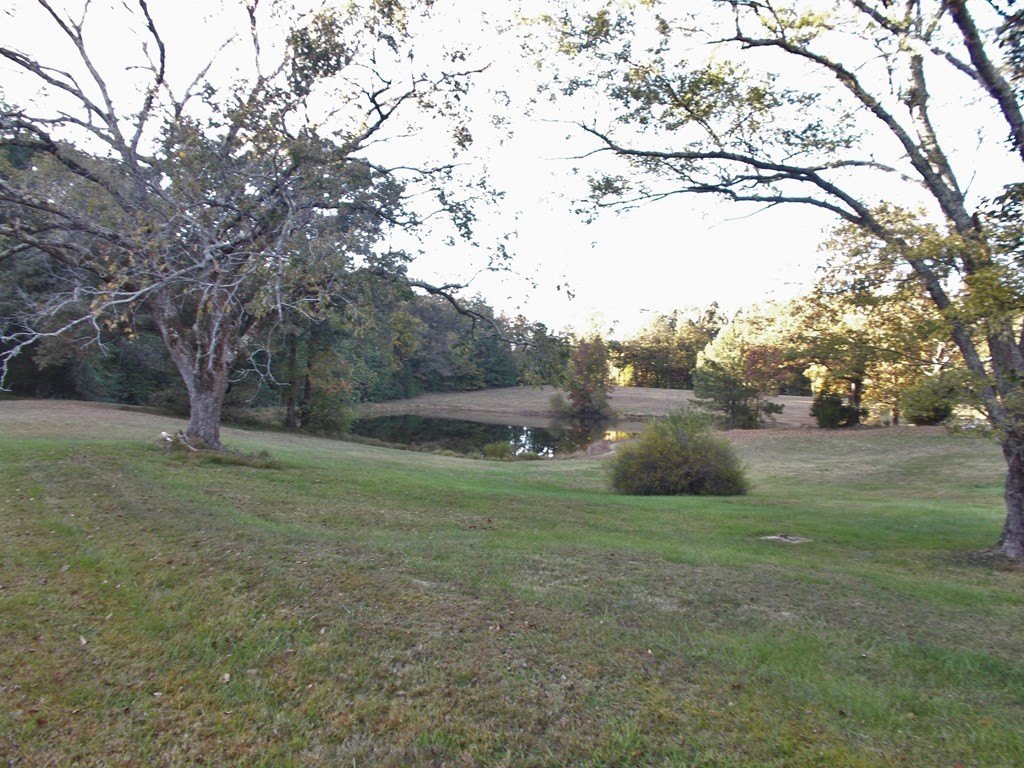 Picture 13