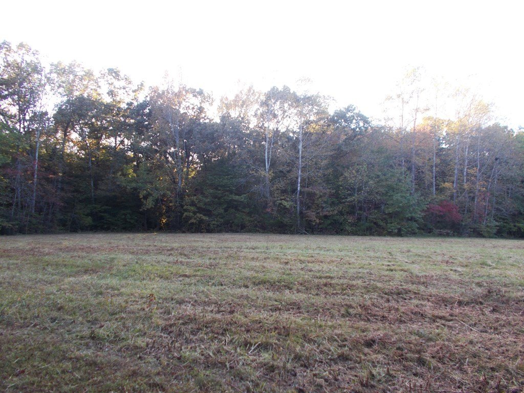 Picture 10